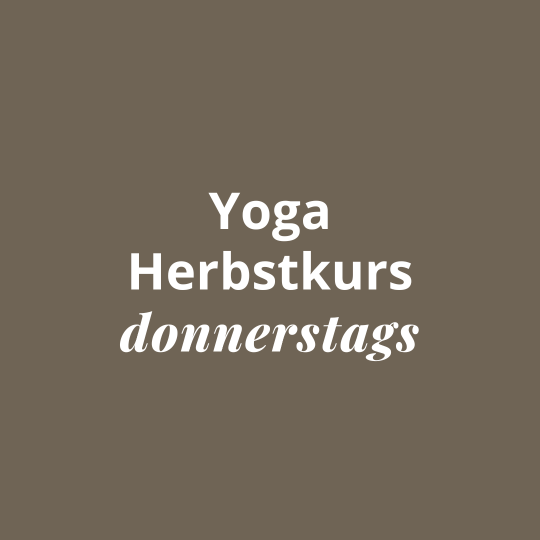 vinyasa yoga flow and shine horn yoga-herbstkurs-donnerstags