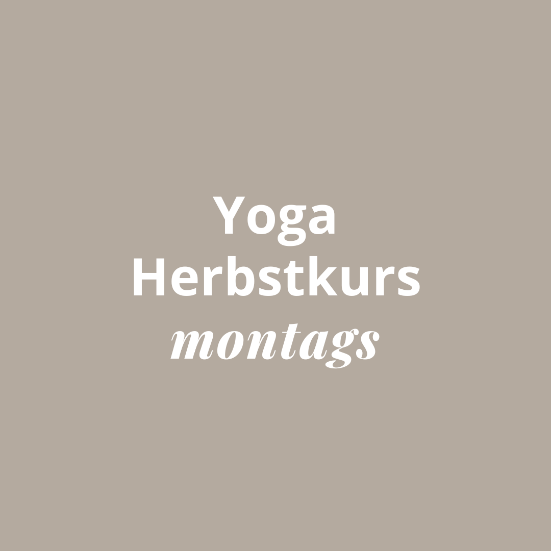 vinyasa yoga flow and shine horn yoga-herbstkurs-montags