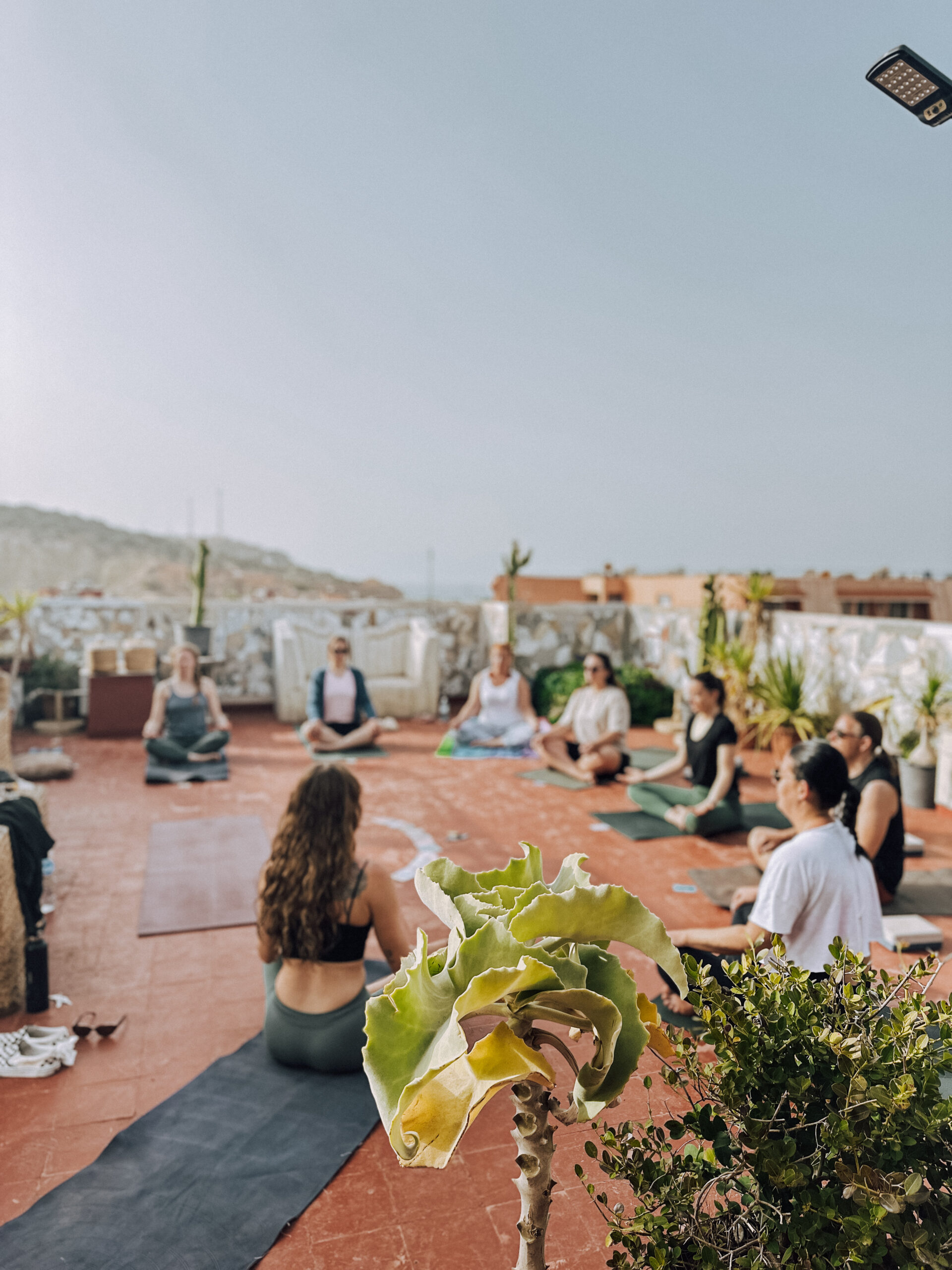 surf yoga retreat marokko rooftop