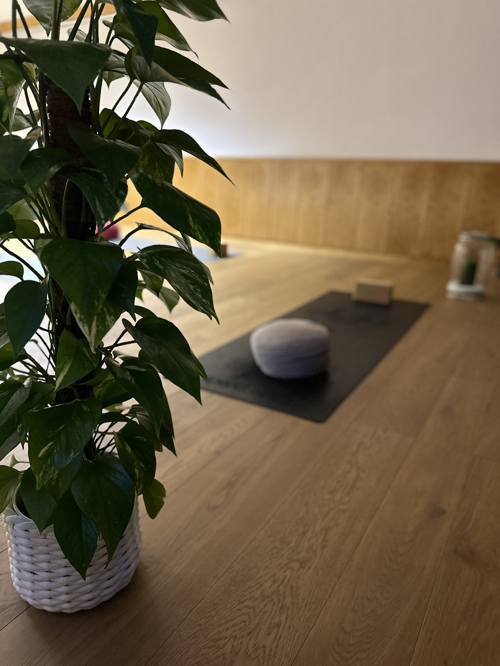 yoga naturhotel edelweiss retreat