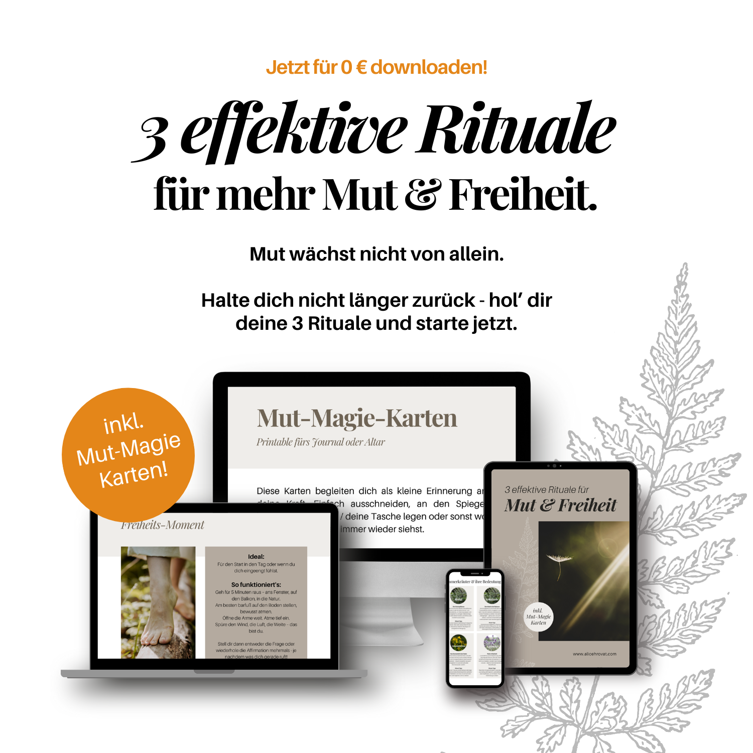 Anleitung zum Räuchern Räuchermischung 3 effektive Rituale für mut und freiheit