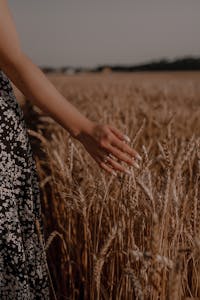 jahreskreisfest lughnasadh rituale yoga