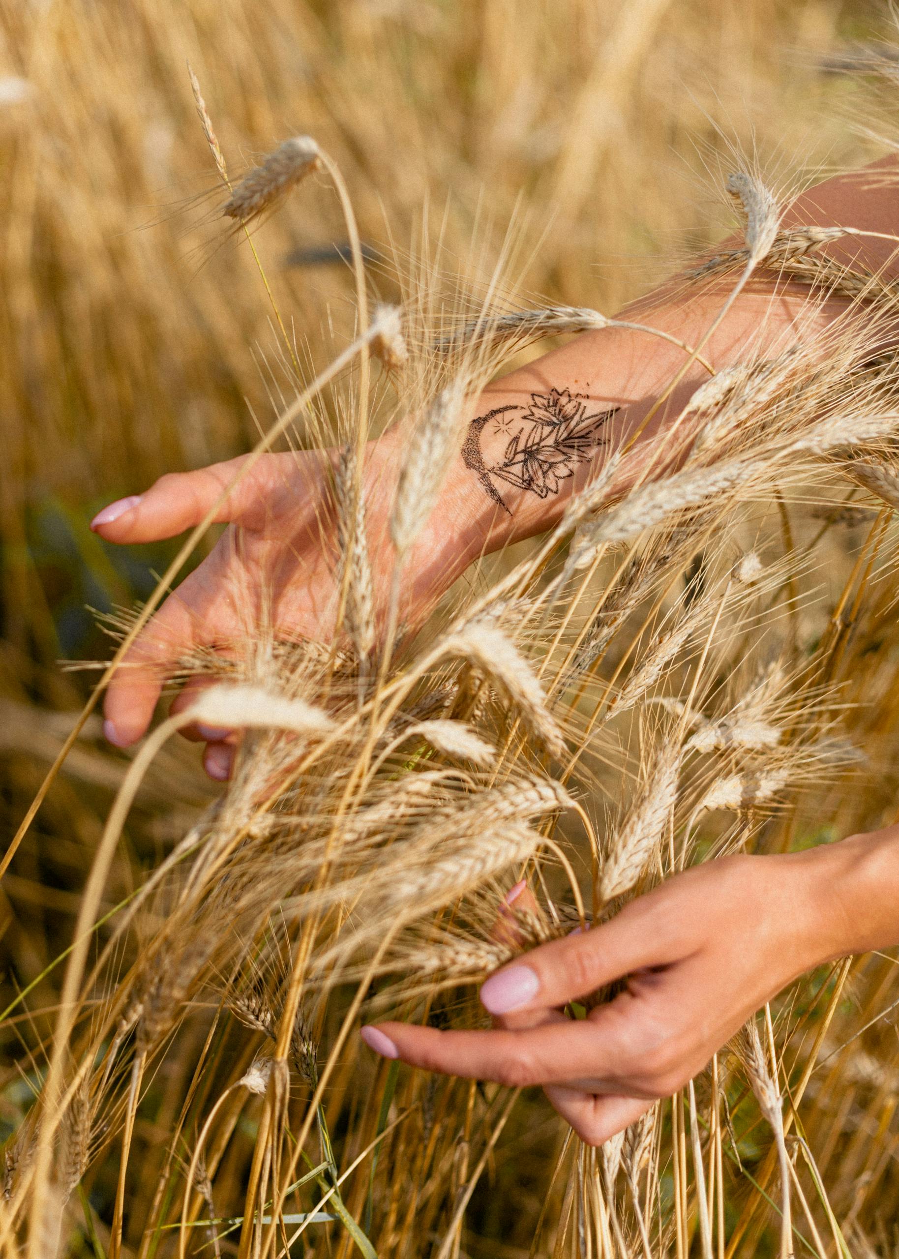jahreskreisfest lughnasadh rituale yoga