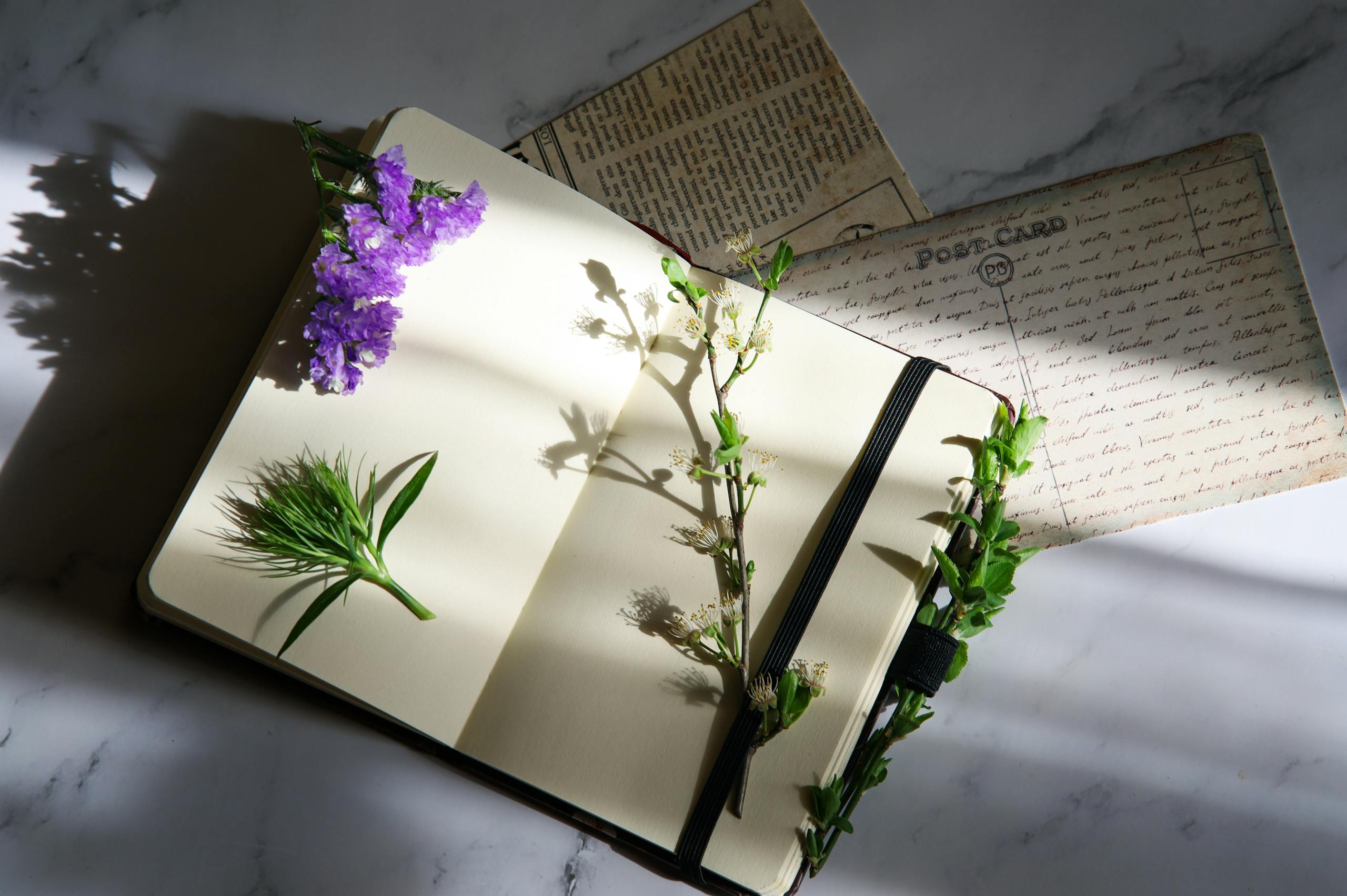 litha journal reflexion