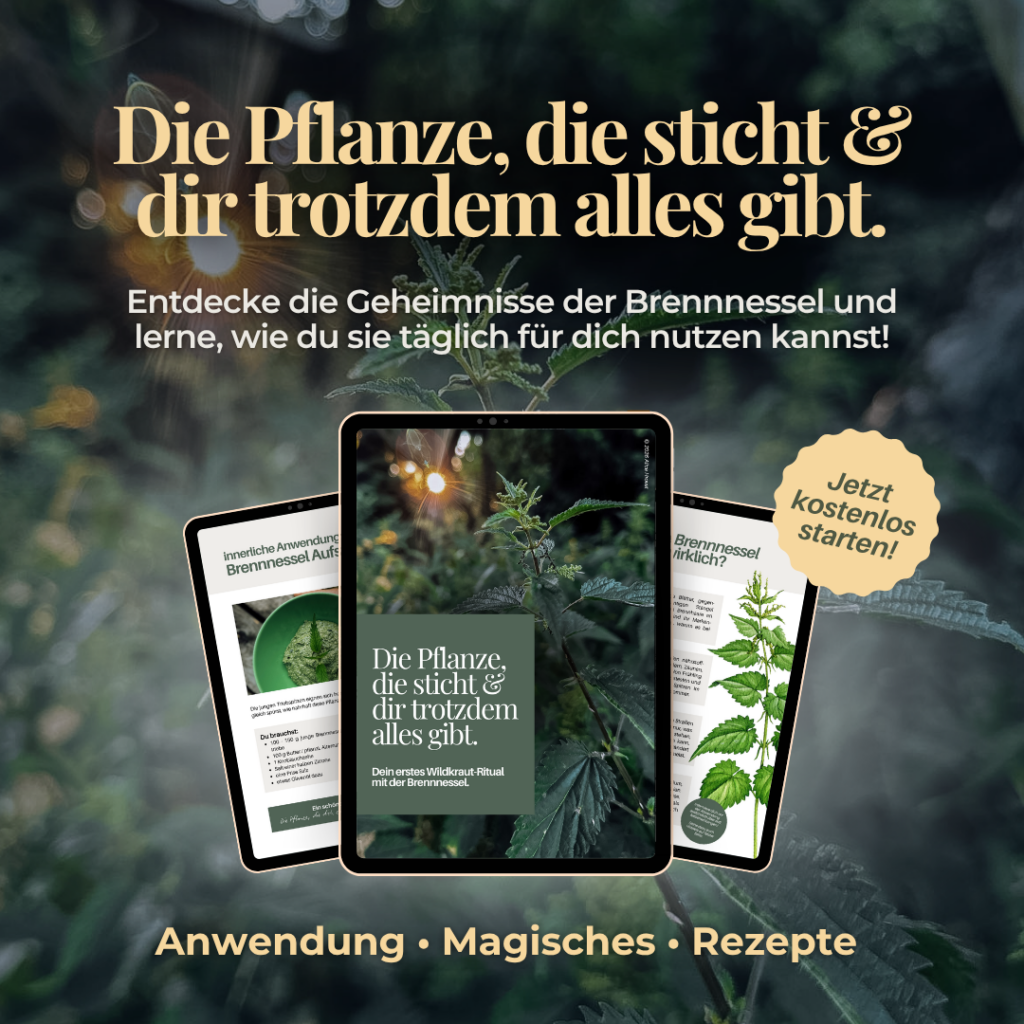 brennnessel guide kostenlos download