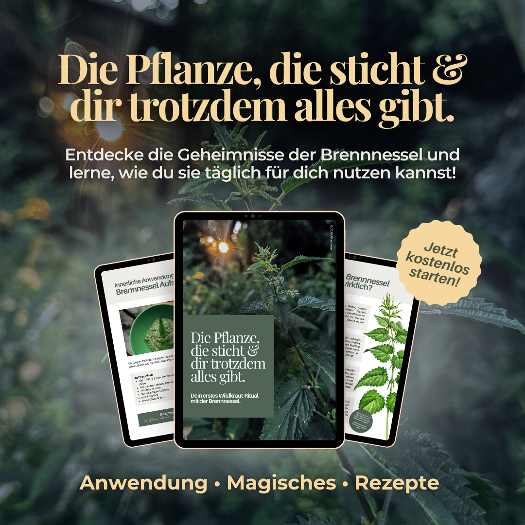 Anleitung zum Räuchern Räuchermischung brennnessel guide kostenlos download